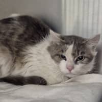 Photo of Doc  Martin