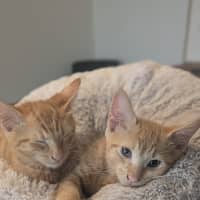 Photo of Fred & George (Aka Quentin & Quigley)