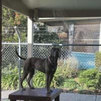 Photo of Luna