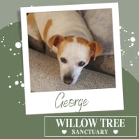 Photo of George