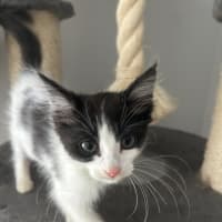 Photo of Vicky