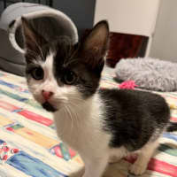 Photo of Adelina & Flora