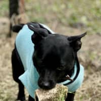 Photo of Scott (Turbo)