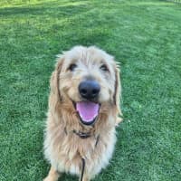 Photo of Charlie