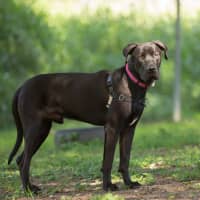 Photo of Zeus
