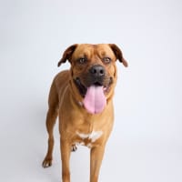 Photo of Zuri