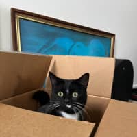 Photo of Betty