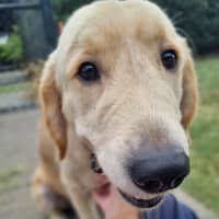 Photo of Timmy