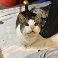 Photo of Billy