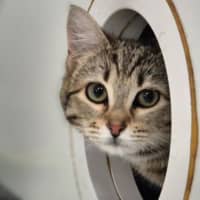 Photo of Mimi