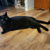 Photo of Ghetto & Gucci