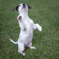 Photo of Wilma