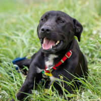Photo of Tank