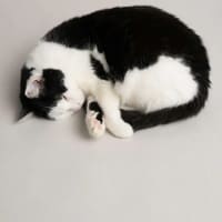 Photo of Winnie