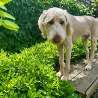 Photo of Marshall Uffelman