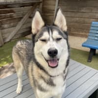 Photo of Bert