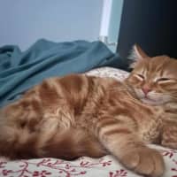 Photo of Edwina Biscuits