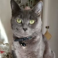 Photo of Pearl