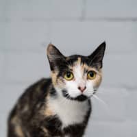 Photo of Sparkle