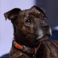 Photo of Maxwell 