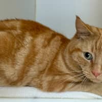 Photo of Philip J Fry 