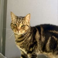 Photo of Wilamina