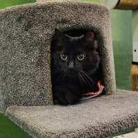 Photo of Zachary Binks