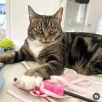 Photo of Boots