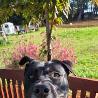 Photo of Baby Zora