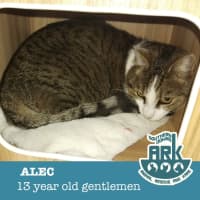 Photo of Alec