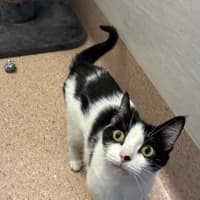 Photo of Penni