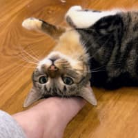 Photo of Rachel & Iggy