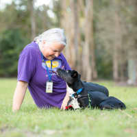 Photo of Sage