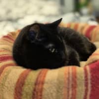 Photo of Mitzy Quinnell