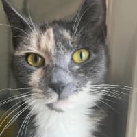 Photo of Aliera