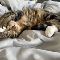 Photo of Bryant Russelton