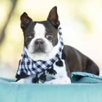 Photo of Pablo