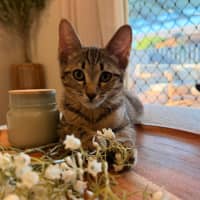 Photo of Asha
