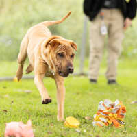 Photo of Tank