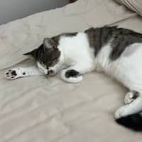 Photo of Charlee