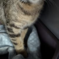 Photo of Ivy