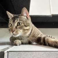 Photo of Jimmy