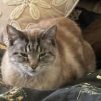 Photo of Max