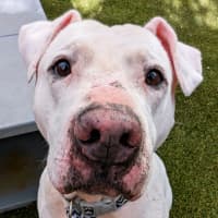 Photo of Sydnee