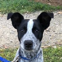 Photo of Jack