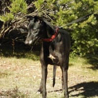 Photo of Heidi