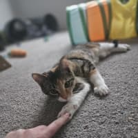 Photo of Sophie