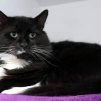 Photo of Kevin Rsta014375