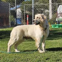 Photo of Missy