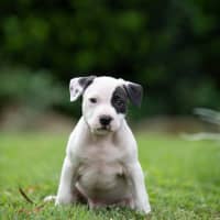 Photo of Rookie